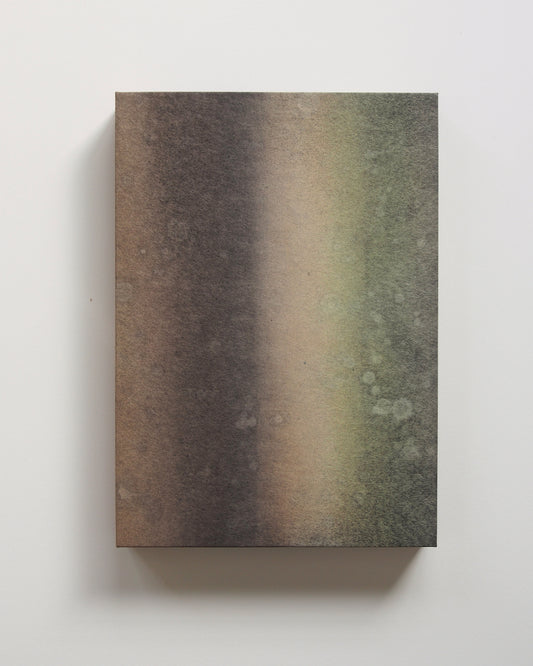 Ayana Mizuno "Translucent scenery no.8, 2025"