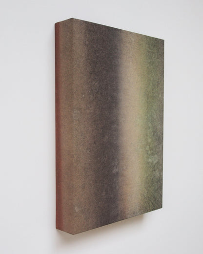 Ayana Mizuno "Translucent scenery no.8, 2025"