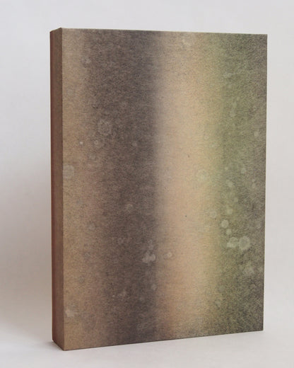 Ayana Mizuno "Translucent scenery no.8, 2025"