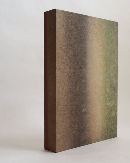 Ayana Mizuno "Translucent scenery no.8, 2025"