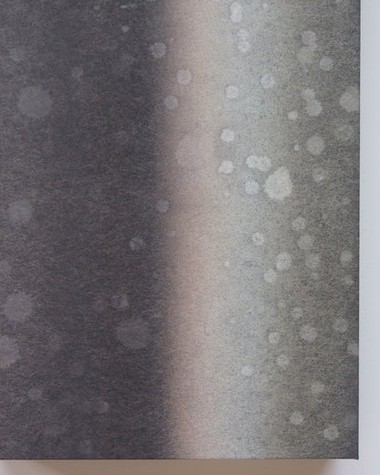 Ayana Mizuno "Translucent scenery no.7, 2025"
