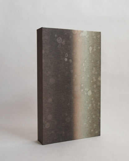 Ayana Mizuno "Translucent scenery no.7, 2025"