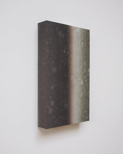 Ayana Mizuno "Translucent scenery no.7, 2025"