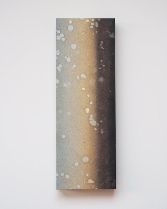 Ayana Mizuno "Translucent scenery no.9, 2025"
