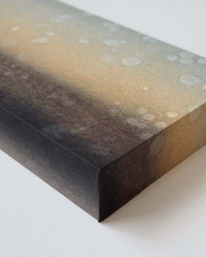Ayana Mizuno "Translucent scenery no.9, 2025"